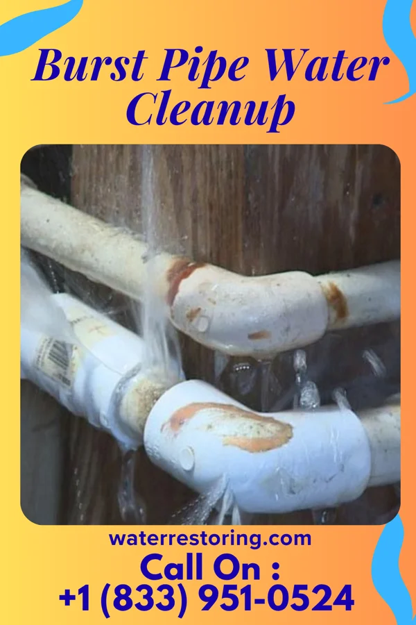 Burst Pipe Water Cleanup in Rosemount, OH