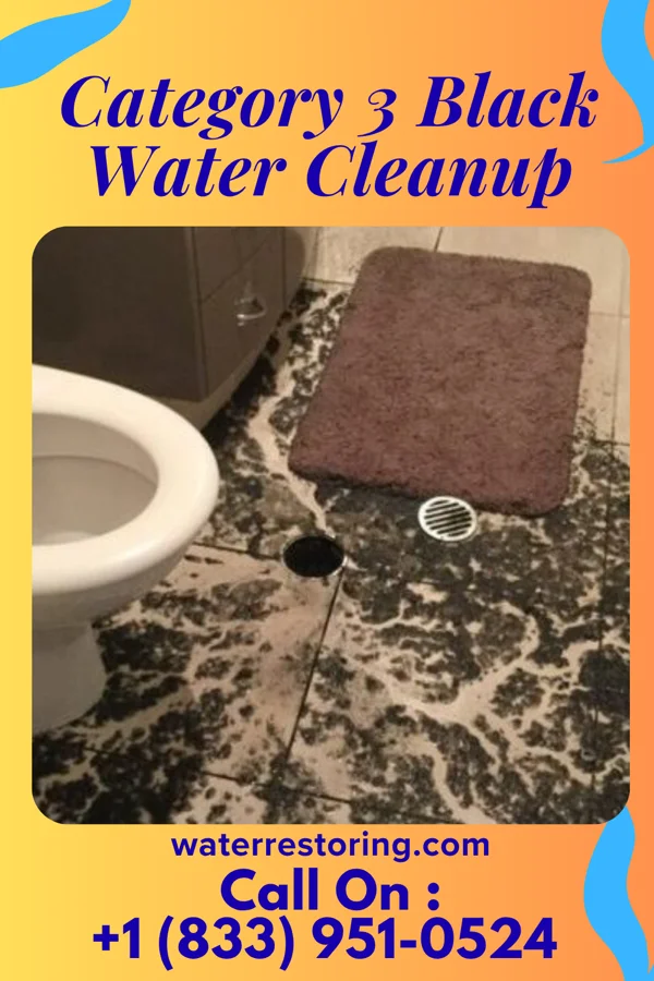 Category 3 Black Water Cleanup in Rosemount, OH