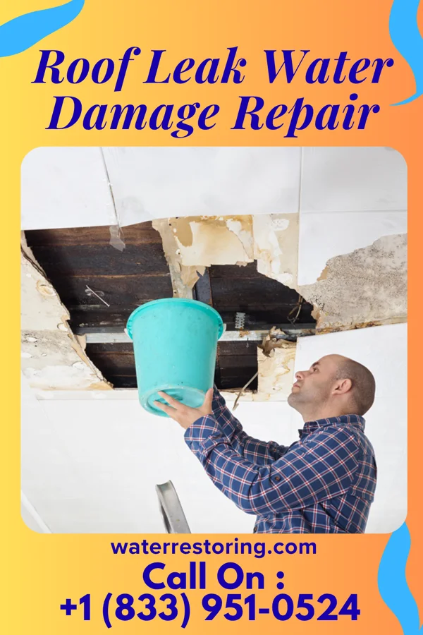 Roof Leak Water Damage Repair in Rosemount, OH