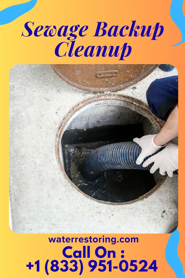 Sewage Backup Cleanup in Rosemount, OH